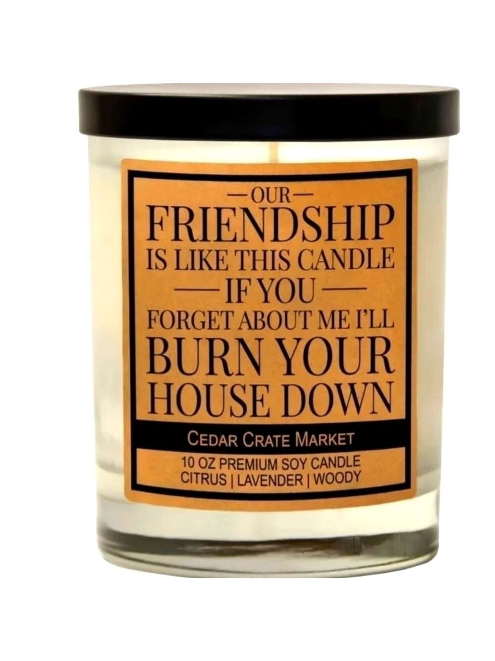 Humor Candles ~ Our Friendship